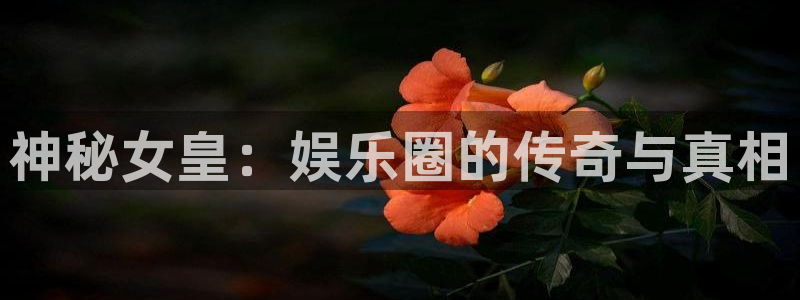 one游戏官网：神秘女皇：娱乐圈的传奇与真相